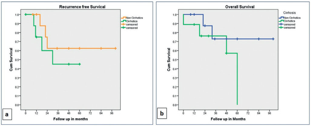 Kaplan-Meier curves